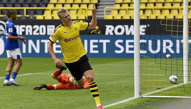 缔造了公牛 缔造了公牛