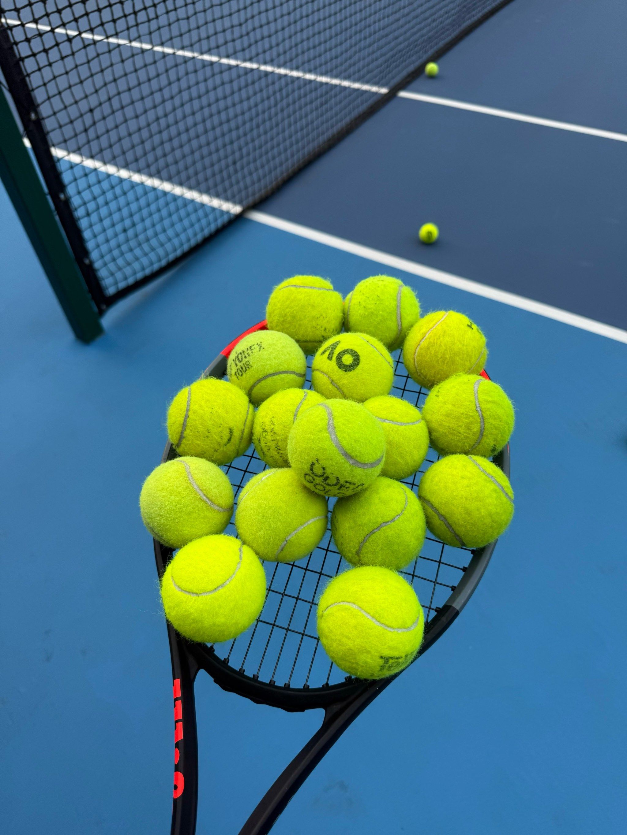 坚韧不拔 坚韧不拔