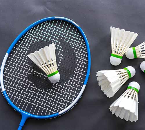 款的博弈 款的博弈